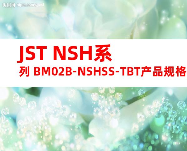 JST NSH系列 BM02B-NSHSS-TBT产品规格书
